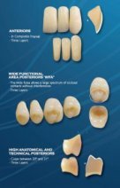 Major Plus Comp Mold Chart, Major Plus Comp Mould Chart, Major Plus Comp teeth chart, Major Plus Comp molds, Major Plus Comp moulds,composite teeth mould chart,composite teeth mold chart, Major Plus Comp anterior chart, Major Plus Comp posterior chart