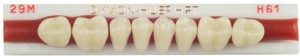 Dymon-Hue Lower Posterior, nue hue, dentsply,anterior, acrylic teeth, justi