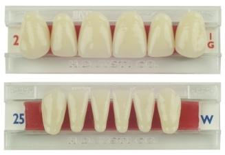 Ipn Teeth Mould Chart