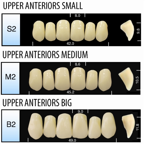 Denture Teeth Chart