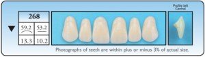 Dymon-Hue, dentsply, large teeth, acrylic teeth