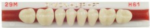 Dymon-Hue Lower Posterior, nue hue, dentsply,anterior, acrylic teeth, justi