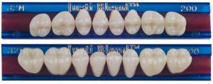 Ipn Teeth Mould Chart