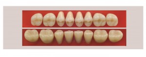 Figure 2 30M 30X 65 copy