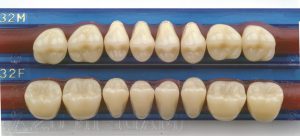 Figure 4 32M 32F 208