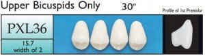 Justi ViVO Bicuspids Upper, acrylic teeth, vivo, bicuspids, large teeth, extra large teeth