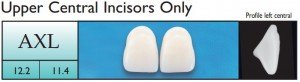 Justi ViVO Incisors Upper, acrylic teeth, extra large teeth, large teeth, incisors teet