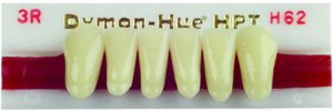 dents antérieures inférieures, Dymon-Hue