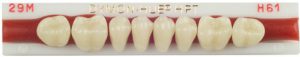 Dymon-Hue, inférieurs dents postérieures
